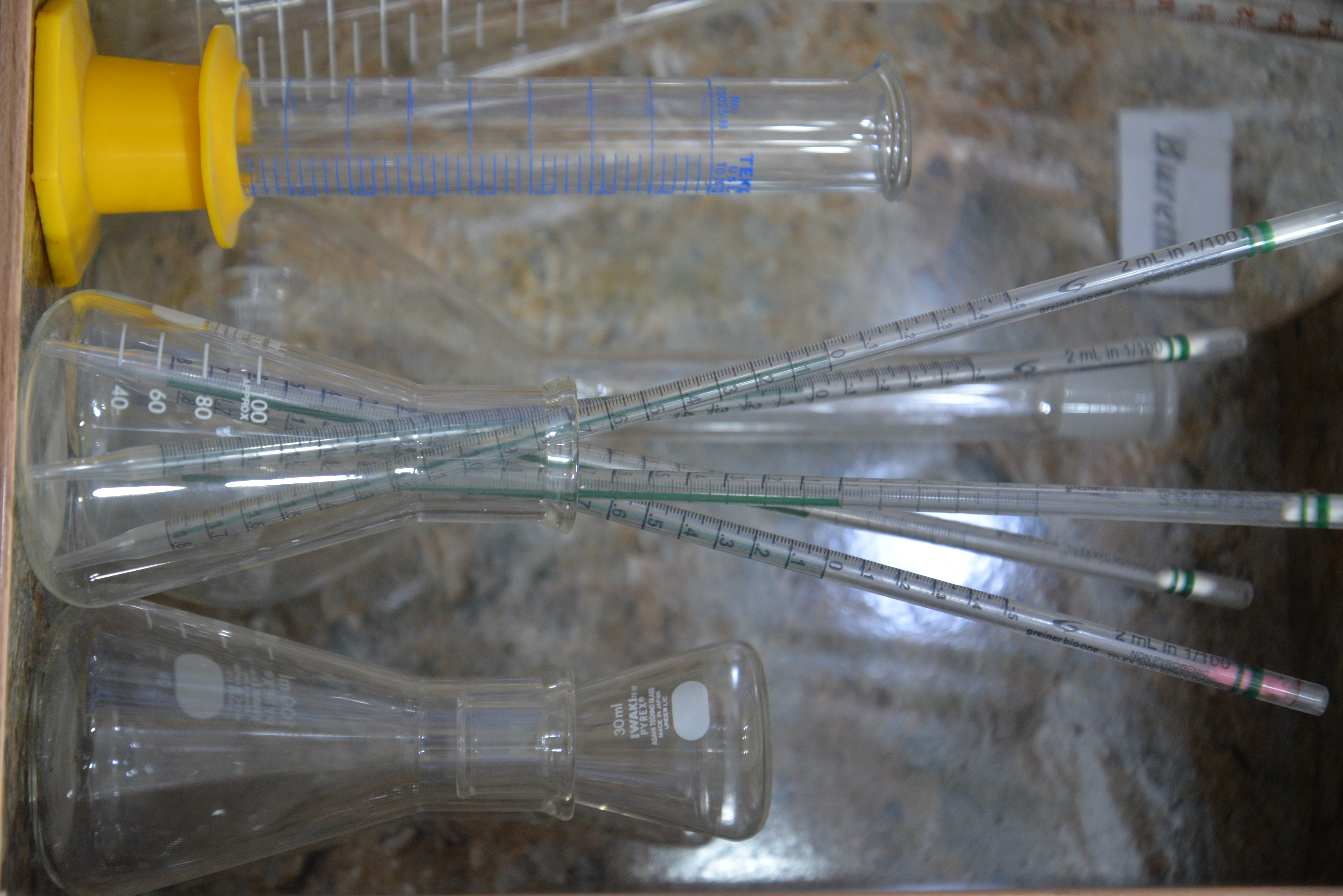 MLT Lab 1